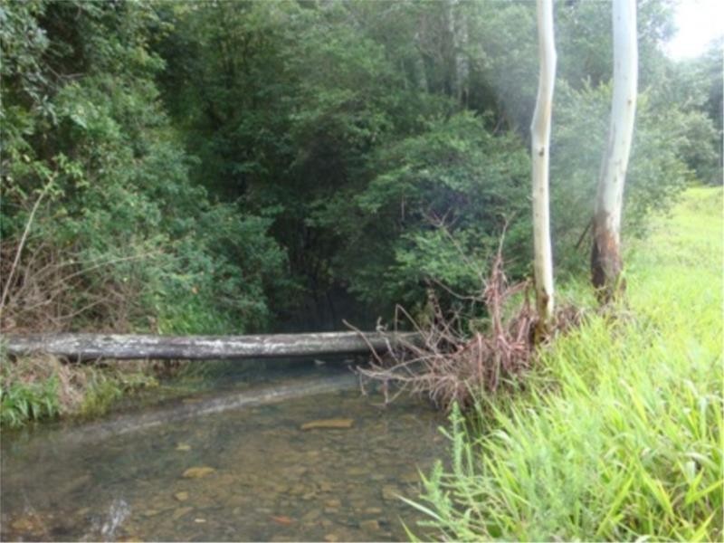 356 Browns Crossing Road, Warrell Creek NSW 2447