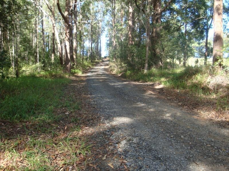 356 Browns Crossing Road, Warrell Creek NSW 2447