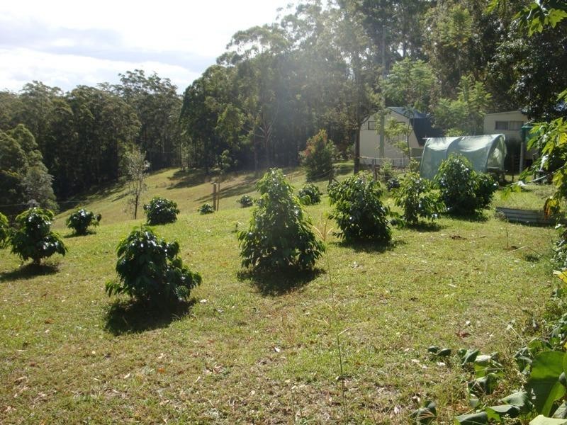 356 Browns Crossing Road, Warrell Creek NSW 2447