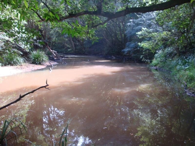 356 Browns Crossing Road, Warrell Creek NSW 2447