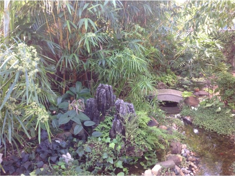 7 FAIRWAY AVENUE, Bundall QLD 4217