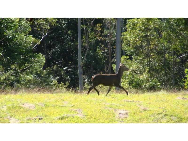 789 Bellthorpe Range Road, Stanmore QLD 4514