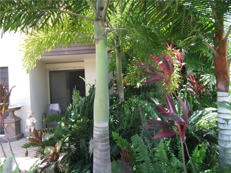 14 Hempel Street, Bushland Beach QLD 4818