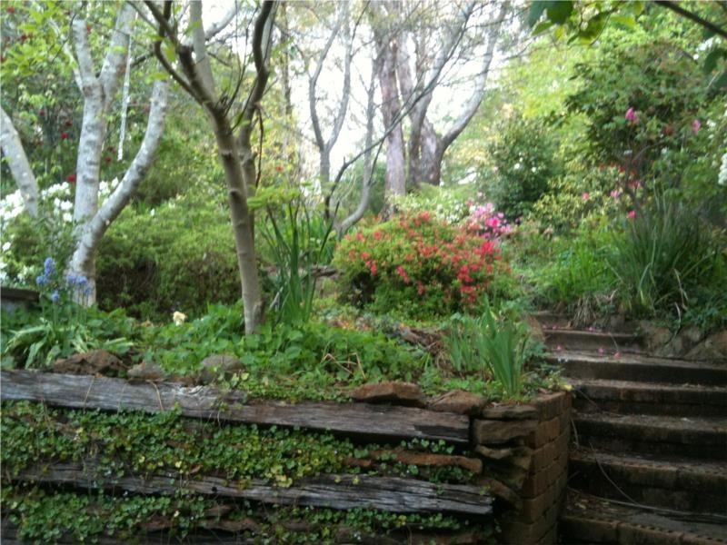 12 Norwood Street, Leura NSW 2780