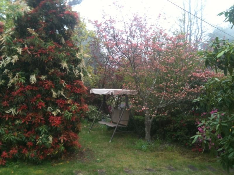 12 Norwood Street, Leura NSW 2780