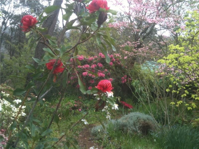 12 Norwood Street, Leura NSW 2780