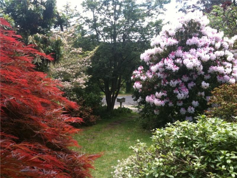 12 Norwood Street, Leura NSW 2780