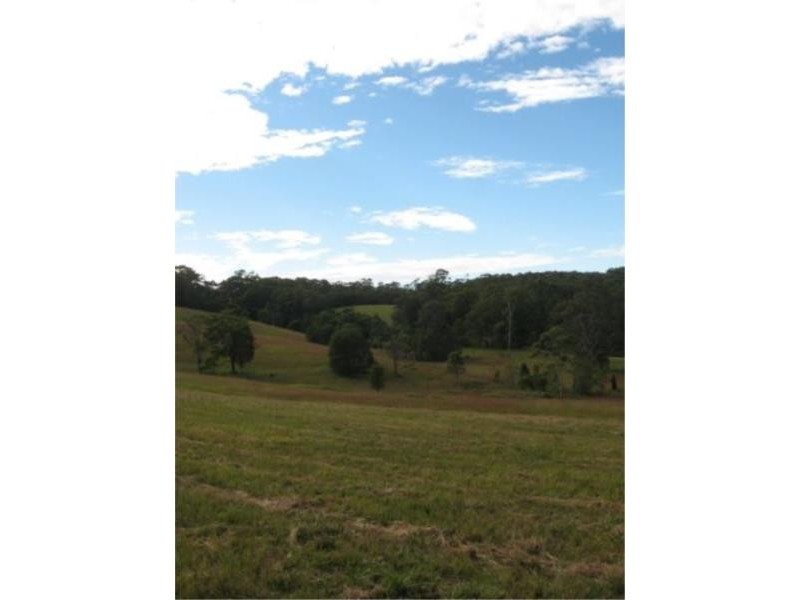 7 Gordons Knob Road, Newee Creek NSW 2447