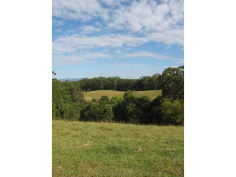 7 Gordons Knob Road, Newee Creek NSW 2447