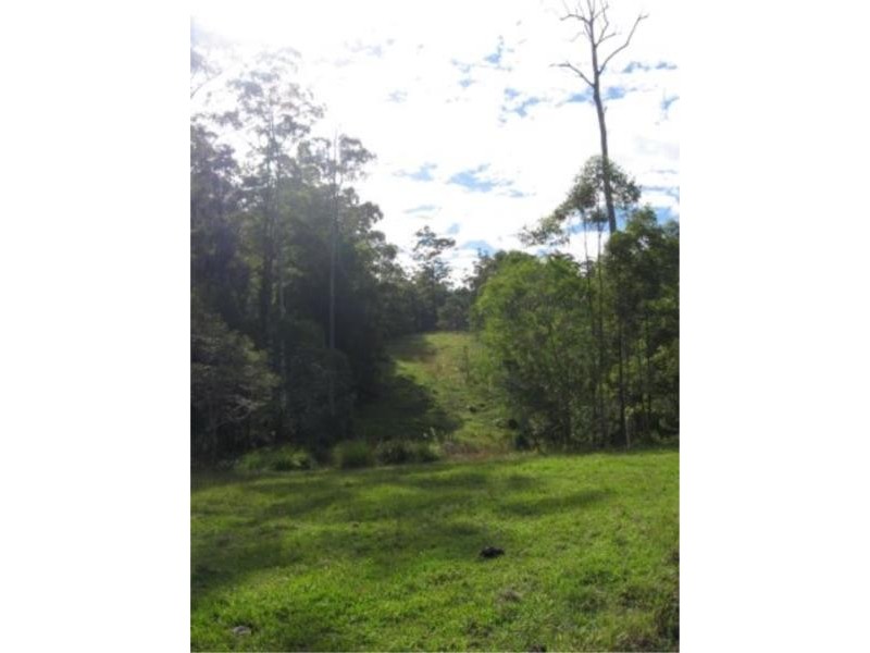 7 Gordons Knob Road, Newee Creek NSW 2447