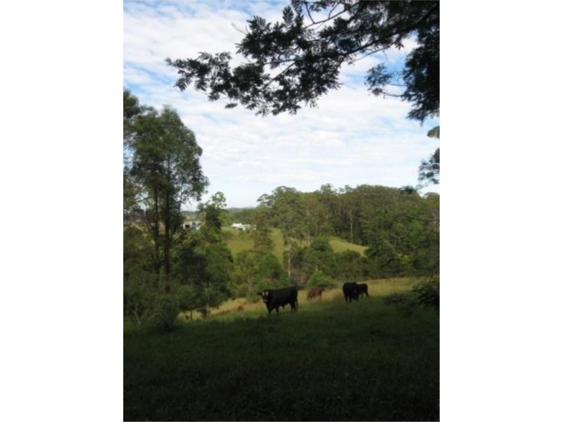 7 Gordons Knob Road, Newee Creek NSW 2447