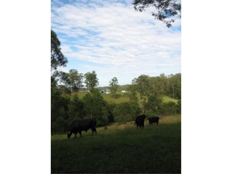 7 Gordons Knob Road, Newee Creek NSW 2447