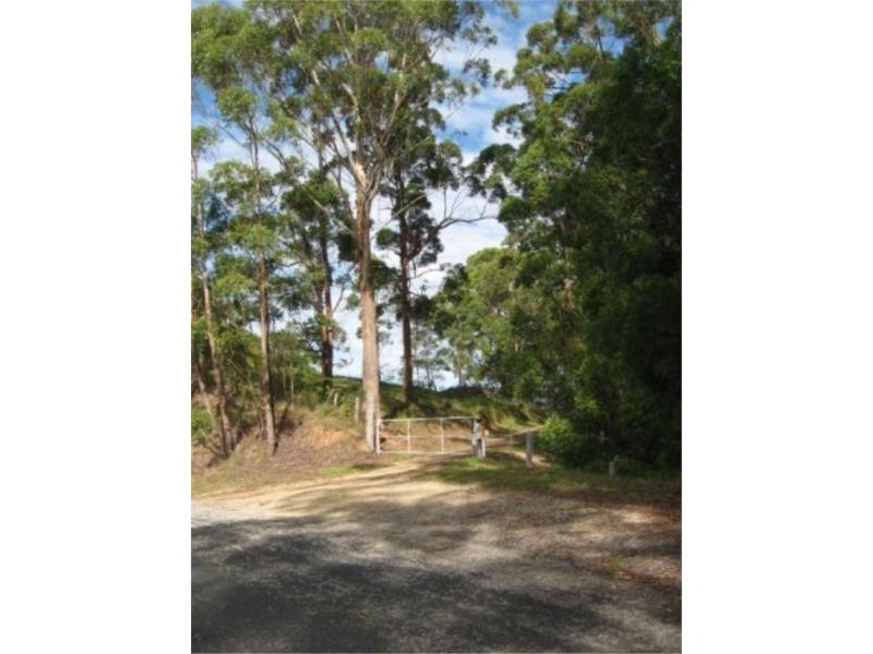 7 Gordons Knob Road, Newee Creek NSW 2447