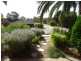 9 Jaimey Grove, Aberfoyle Park SA 5159