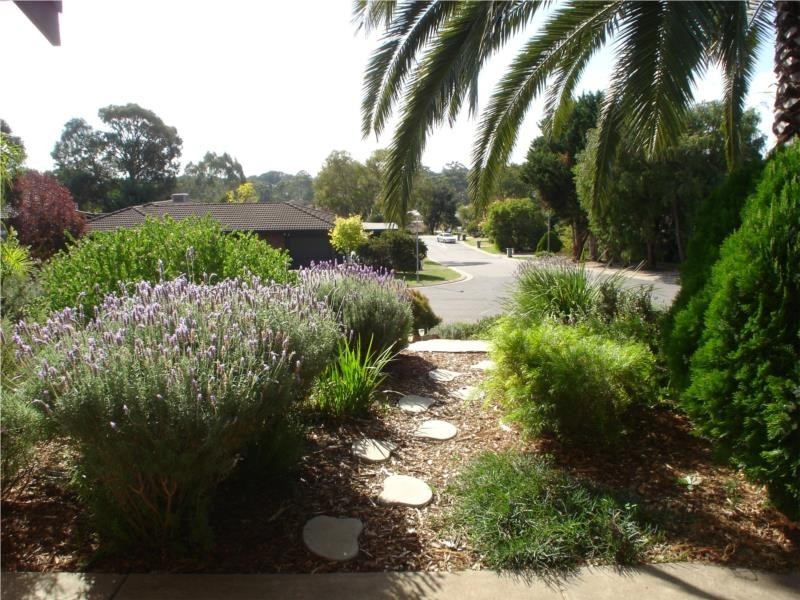 9 Jaimey Grove, Aberfoyle Park SA 5159