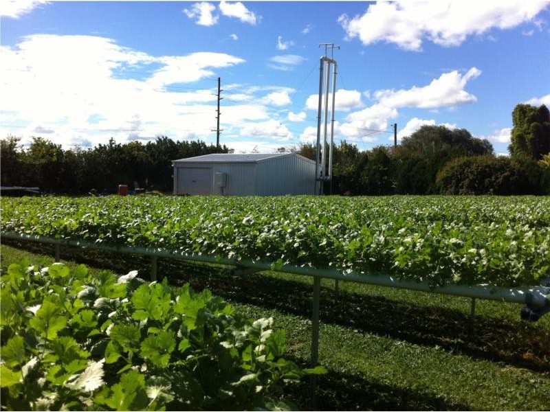 2 Drayton Street, Laidley QLD 4341
