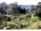 Thora NSW 2454