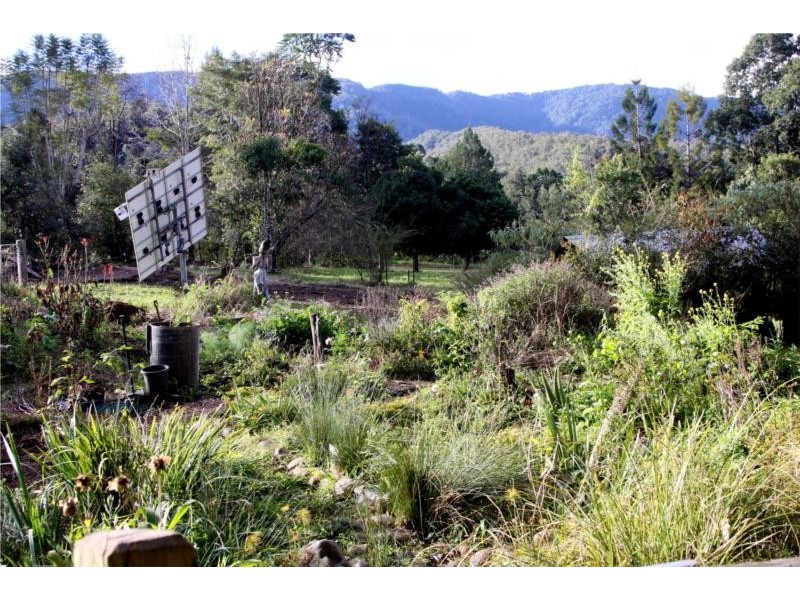 Thora NSW 2454