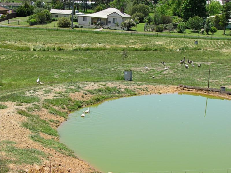 19  Cairo Street, Kandos NSW 2848