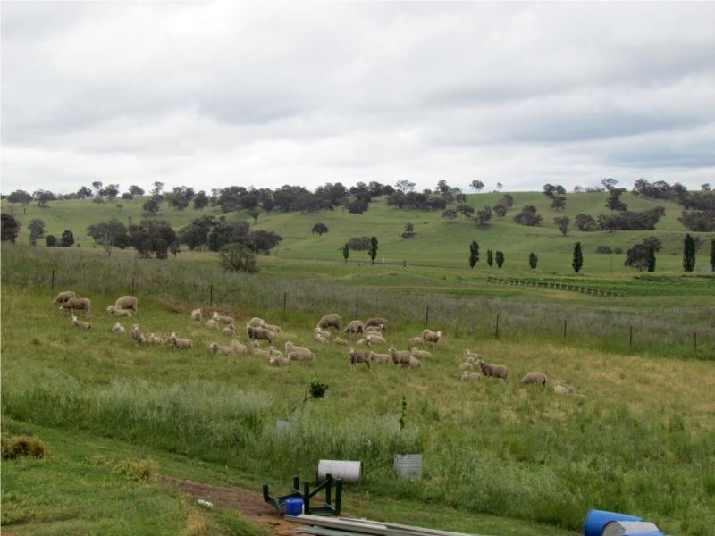 19  Cairo Street, Kandos NSW 2848