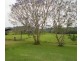 4 Blue Knob Road, Nimbin NSW 2480