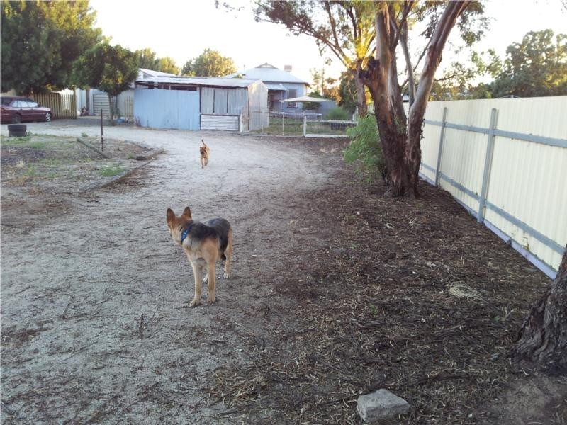 51 Victoria St, Pyramid Hill VIC 3575