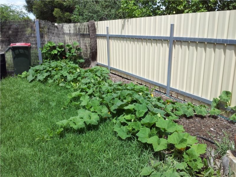 51 Victoria St, Pyramid Hill VIC 3575