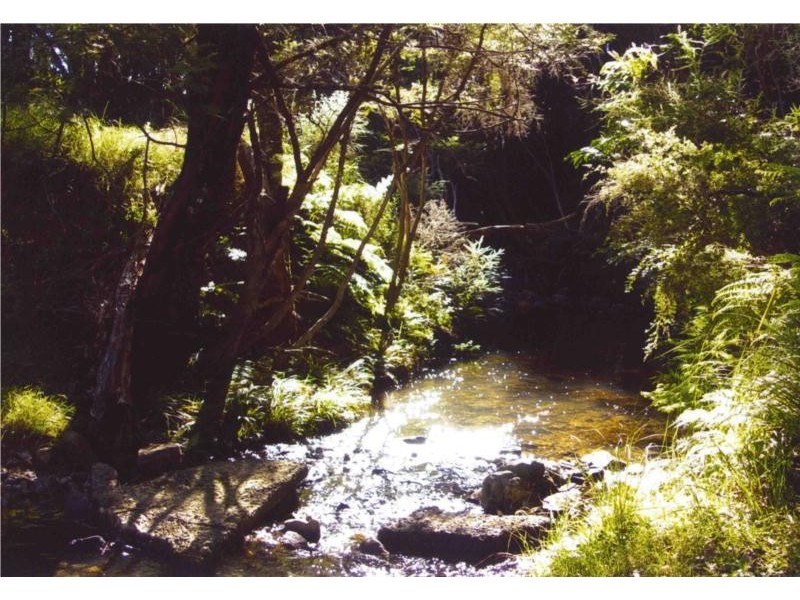 93 Western Avenue, Montville QLD 4560