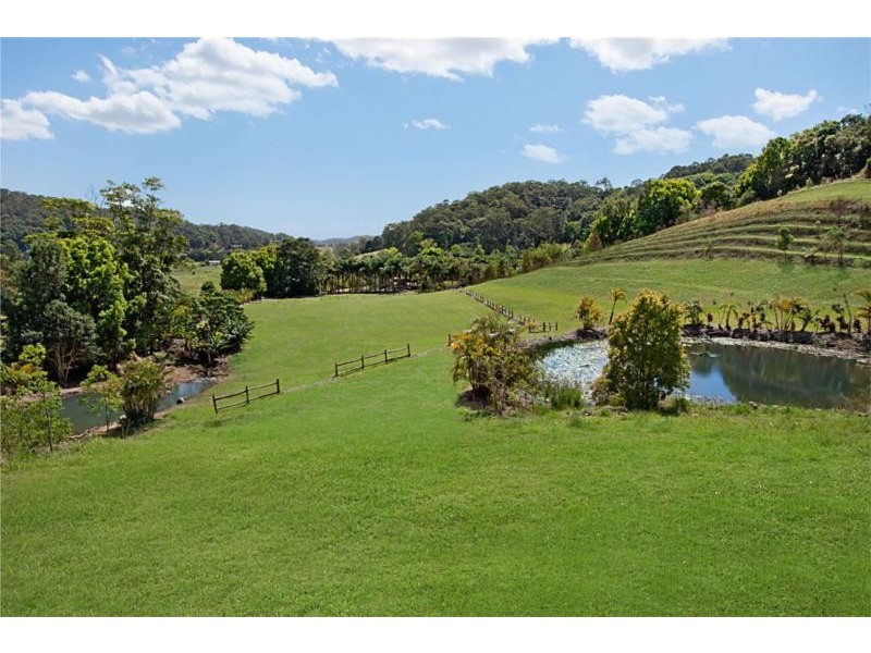 161 Cobaki Road, Cobaki NSW 2486