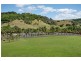 161 Cobaki Road, Cobaki NSW 2486