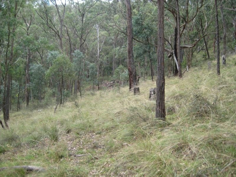 147 Coxs River Road, Little Hartley NSW 2790