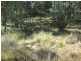 147 Coxs River Road, Little Hartley NSW 2790