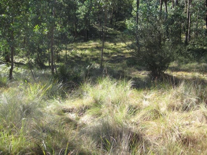147 Coxs River Road, Little Hartley NSW 2790