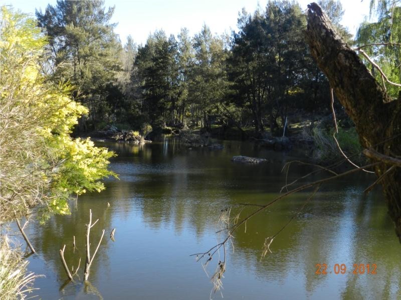 3402 Strathbogie Road, Wellingrove NSW 2370