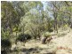 3402 Strathbogie Road, Wellingrove NSW 2370