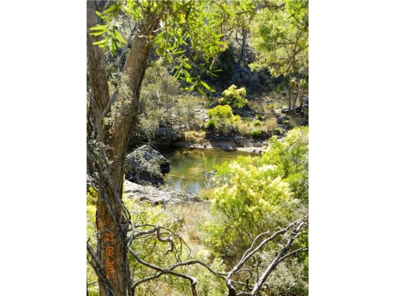 3402 Strathbogie Road, Wellingrove NSW 2370