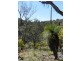 3402 Strathbogie Road, Wellingrove NSW 2370