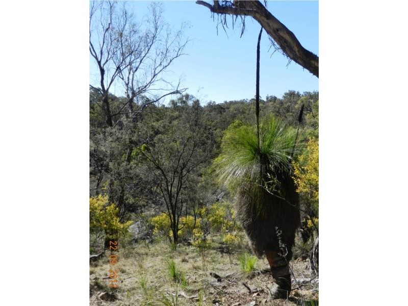3402 Strathbogie Road, Wellingrove NSW 2370