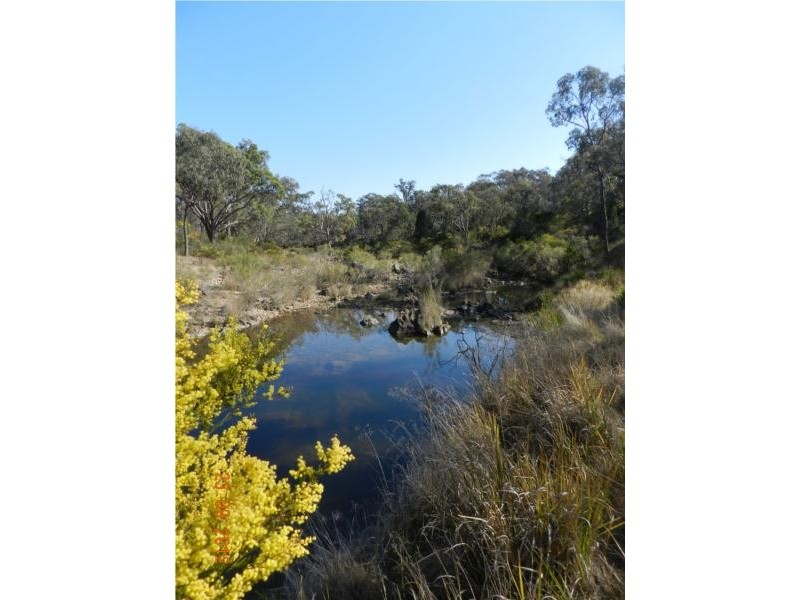 3402 Strathbogie Road, Wellingrove NSW 2370