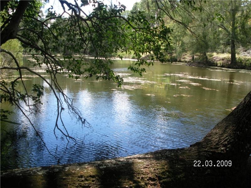 3402 Strathbogie Road, Wellingrove NSW 2370