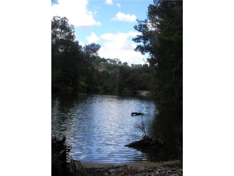 3402 Strathbogie Road, Wellingrove NSW 2370