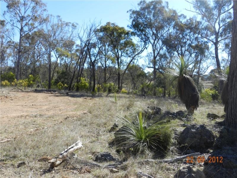3402 Strathbogie Road, Wellingrove NSW 2370