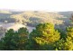 898 Porcupine Ridge Rd, Porcupine Ridge VIC 3461
