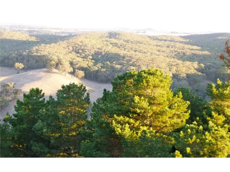 898 Porcupine Ridge Rd, Porcupine Ridge VIC 3461