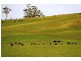 898 Porcupine Ridge Rd, Porcupine Ridge VIC 3461