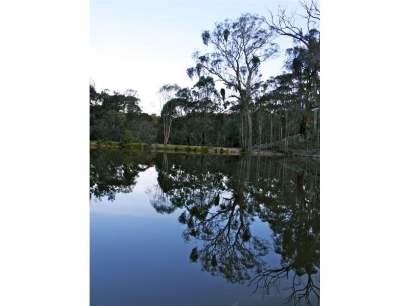 898 Porcupine Ridge Rd, Porcupine Ridge VIC 3461