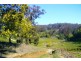898 Porcupine Ridge Rd, Porcupine Ridge VIC 3461
