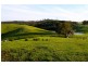 898 Porcupine Ridge Rd, Porcupine Ridge VIC 3461