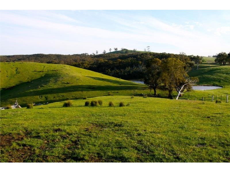 898 Porcupine Ridge Rd, Porcupine Ridge VIC 3461