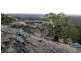 898 Porcupine Ridge Rd, Porcupine Ridge VIC 3461